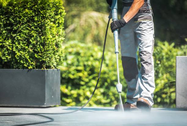 Pre-Holiday Cleaning in Timberwood Park, TX