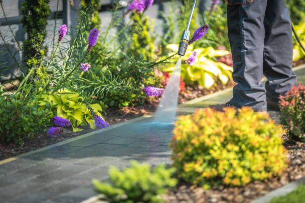 Best Gutter Cleaning  in Timberwood Park, TX